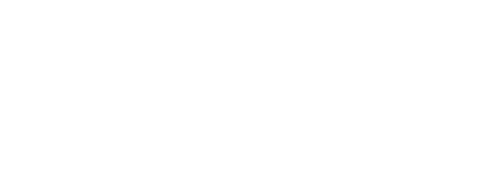 Sprinter Gurus Logo
