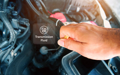 Sprinter Van Transmission Fluid Check