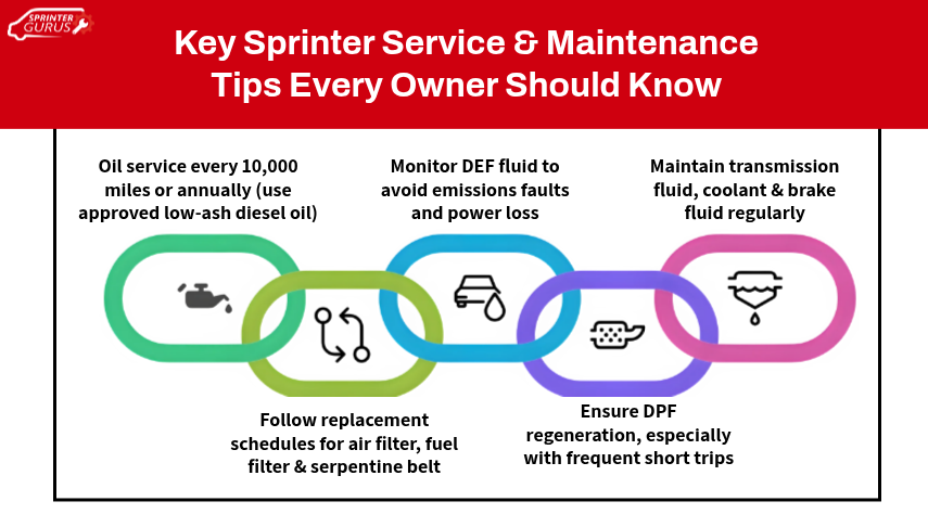 Key Sprinter Service & Maintenance Tips Every Owner Should Know